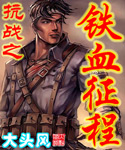 抗日之铁血征程封面