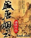 盛唐烟云封面