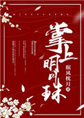 掌上明月珠封面