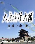 大唐城管大队封面
