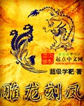 雕龙刻凤封面