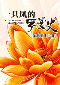 一只凤的罗曼史封面