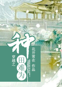 穿越之种田难为封面
