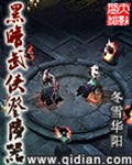 黑暗武侠登陆器封面