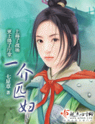 一介匹妇