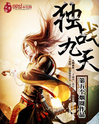 独战九天封面