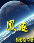 凤逐封面