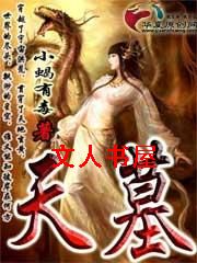 天墓封面
