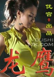 龙鹰封面