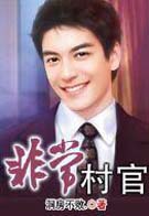 非常村官封面