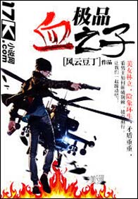 极品血之子封面