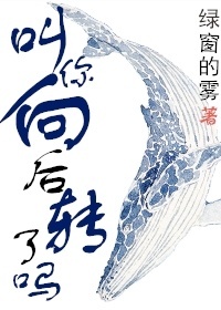叫你向后转了吗?封面