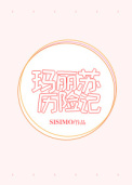 玛丽苏历险记封面