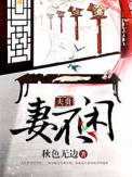 夫贵妻不闲封面