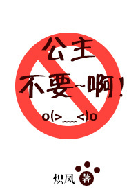 公主不要啊封面