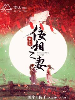 佞相之妻封面