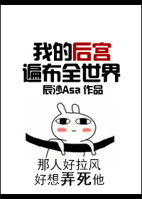我的后宫遍布全世界封面