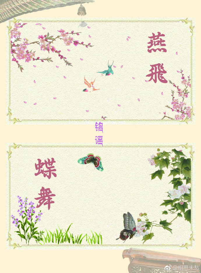 燕飞蝶舞封面