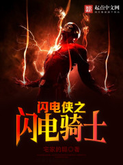 (闪电侠同人)闪电侠之闪电骑士封面