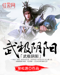 武极阴阳封面