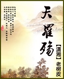 天罗殇封面