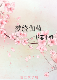 梦绕伽蓝封面