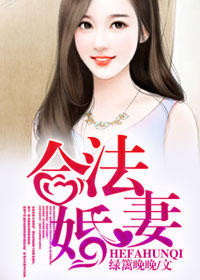 合法婚妻封面