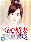 夺心娇妻莫要逃封面