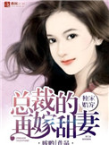 独家婚宠,总裁的再嫁甜妻封面