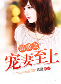 溺爱之宠妻至上封面