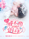 顾先生,你是我戒不掉的毒!封面