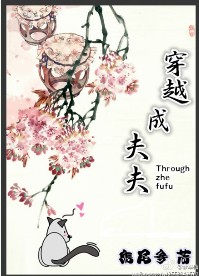 穿越成夫夫封面