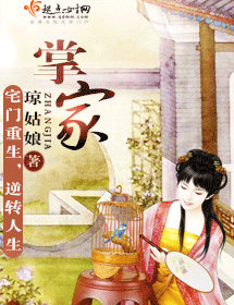 掌家封面
