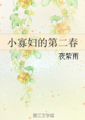 小寡妇的第二春封面