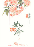 嗜妻如命封面