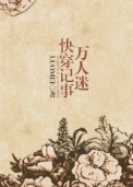 万人迷快穿记事封面