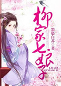 柳家七娘子封面