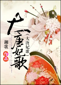 大唐妃歌封面
