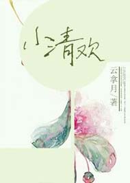 小清欢封面