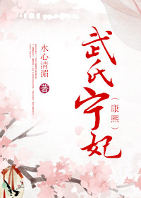 武氏宁妃(康熙)封面