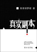 真实副本封面