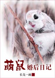 萌鼠婚后日记封面
