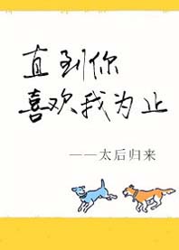 直到你喜欢我为止封面