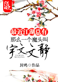 最近江湖总有那么一个魔头叫宇文文静封面