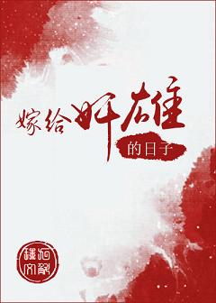嫁给奸雄的日子封面
