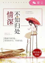 情深不知归处封面