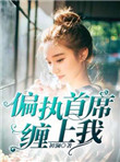偏执首席缠上我封面