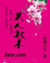美人权术封面