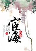 宦海(科举)封面