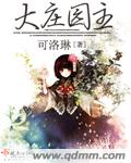 大庄园主封面